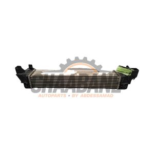 Intercooler 17517617597 BMW X2 (F39) 2017 / 2023