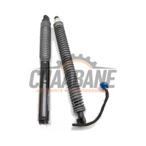 Kit amortisseur gaz hayon 51247357109 BMW 7 serie (G11/12) 740e,Le xDrive 2015 / 2022