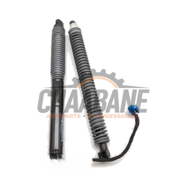 Verin de coffre 51247357109 BMW 7 serie (G11/12) 740e,Le xDrive 2015 / 2022