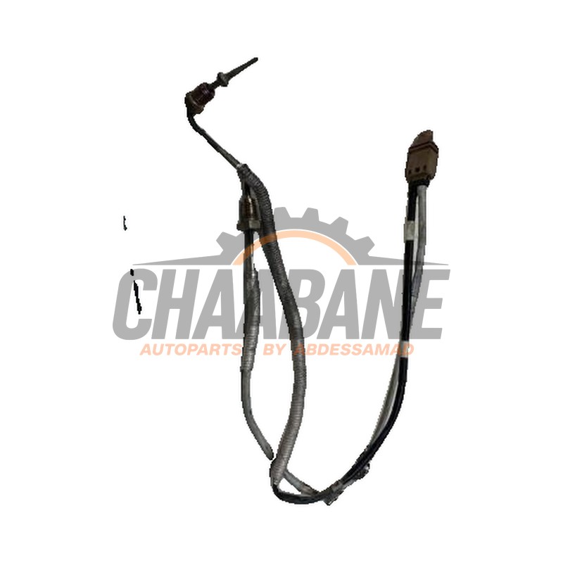 Sensor temperature d'echappement Cupra Formentor 2.0 TSI 16V 4Drive 2020 06Q919519R