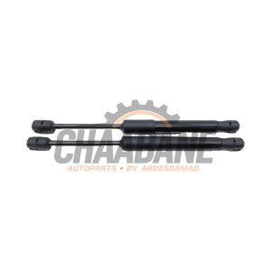 Amortisseur kit capot moteur 51237419387 BMW 3 serie Touring (G21) 330e xDrive 2.0 TwinPower Turbo 16V 2019