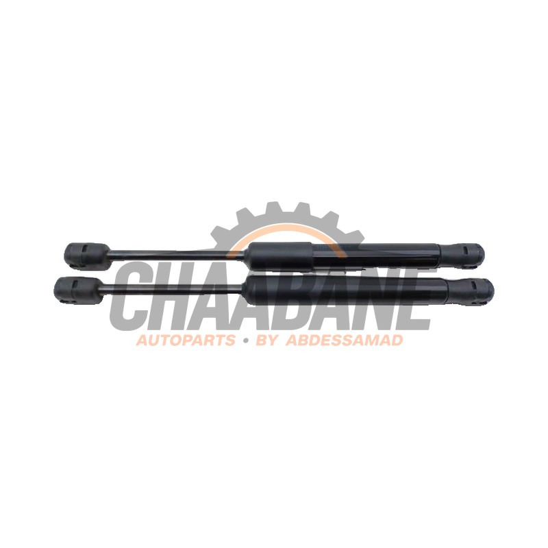 Amortisseur kit capot moteur 51237419387 BMW 3 serie Touring (G21) 330e xDrive 2.0 TwinPower Turbo 16V 2019