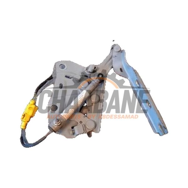 Charniere de capot 0589P1000192 Volkswagen Touran (5T1) 1.6 TDI 2015