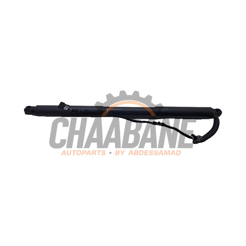 Amortisseur a gaz arriere gauche 51247340975 BMW 3 serie Touring (F31) 325d 2.0 16V 2012 / 2019