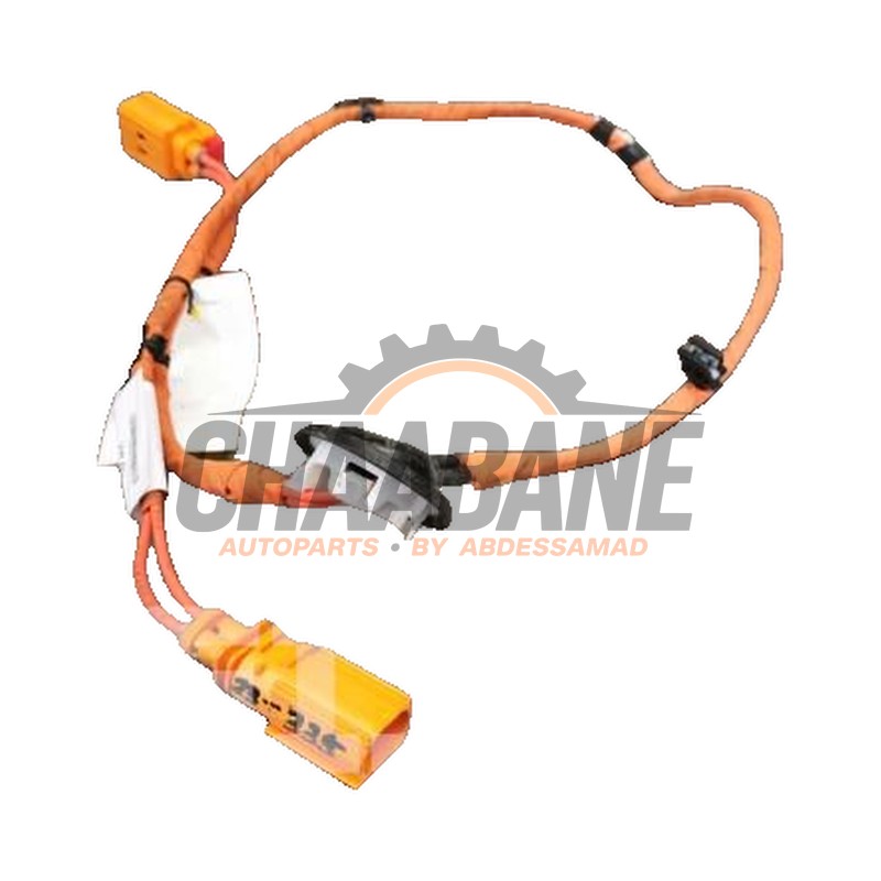 Cable haute tension Cupra Born 58 e-boost 2021 1EA971475B
