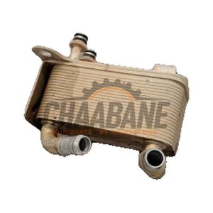 Refroidisseur dhuile MB3G7A095DA Volkswagen Amarok 3.0 TDI V6 24V 4Motion 2022