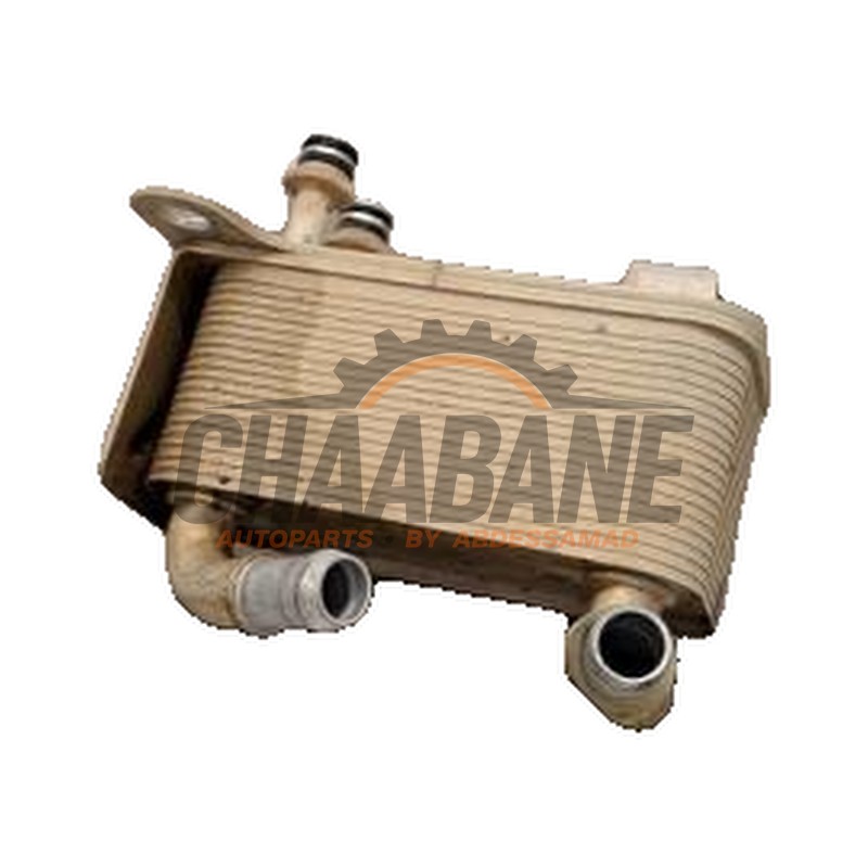 Radiateur dhuile MB3G7A095DA Volkswagen Amarok 3.0 TDI V6 24V 4Motion 2022
