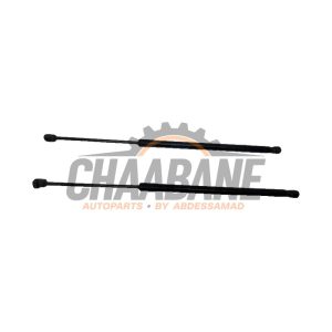 Verin de coffre 5124745604204 BMW 1 serie (F40) 118d 2.0 16V 2019