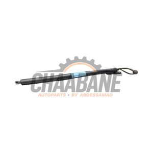 Amortisseur a gaz arriere gauche Maserati Grecale 2.0 GT MHEV Q4 16V 2022