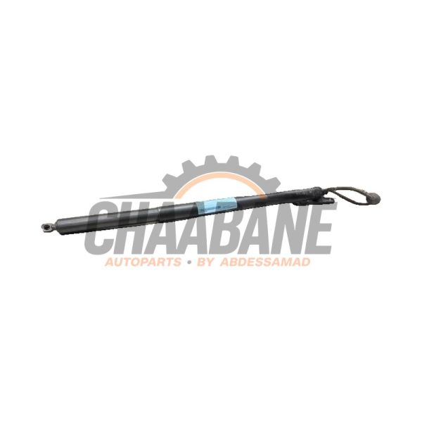 Amortisseur a gaz arriere gauche Maserati Grecale 2.0 GT MHEV Q4 16V 2022