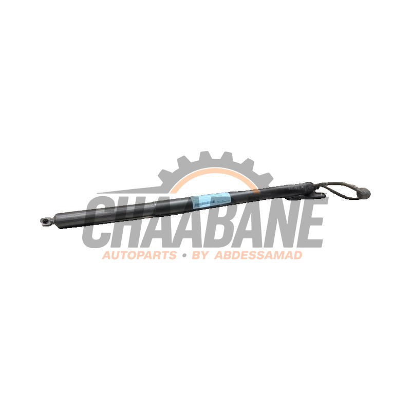 Amortisseur a gaz arriere gauche Maserati Grecale 2.0 GT MHEV Q4 16V 2022