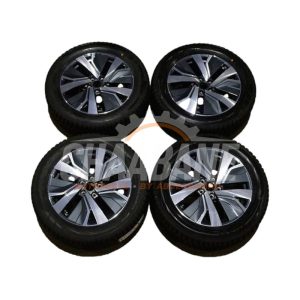 Kit de jantes sport + pneus hiver 5NA601025AJ Volkswagen Tiguan (AD1) 2016 / 2024
