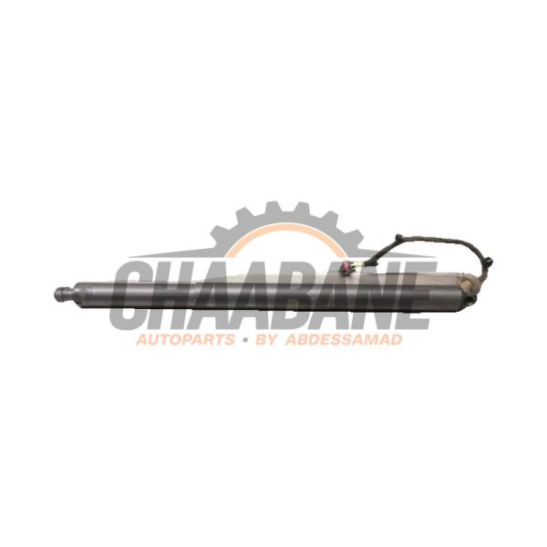 Amortisseur a gaz arriere gauche 9J0827851A Porsche Taycan Cross Turismo (Y1B) 4S Performance Battery Plus 2020
