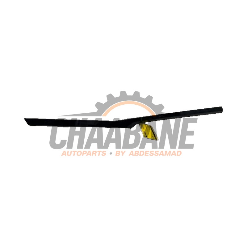 Bande decorative 51379449719 BMW iX (I20) xDrive40 77 kWh 2021