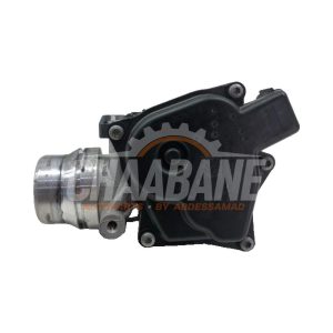 Boitier accelerateur 161A09287R Mercedes Citan (415.6) 1.5 108 CDI Euro 6