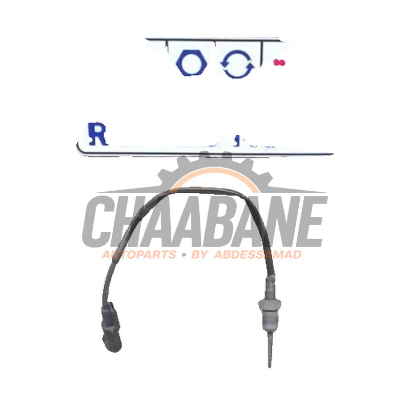 Sensor temperature d'echappement 06079052900 Mercedes Citan (415.6) 1.5 109 CDI